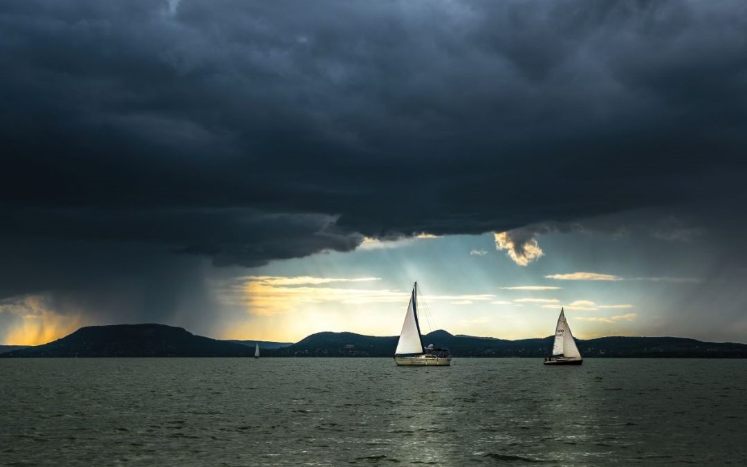 Magyar vállalkozás: viharban, jó irányba